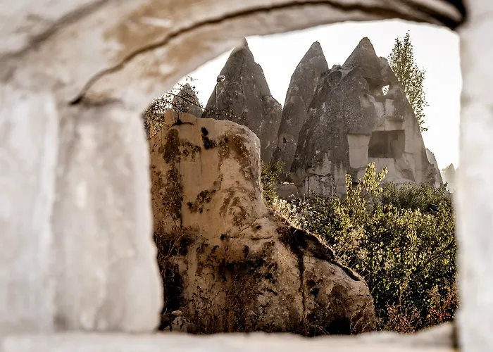 Bed & Breakfast Emily Cave House